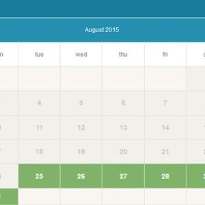 Availability Booking Calendar